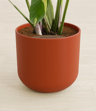 Load image into Gallery viewer, Earth Red stand:all
