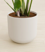 Load image into Gallery viewer, Natural Bamboo stand:all
