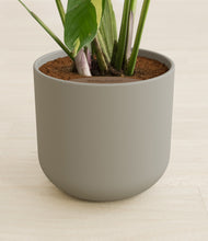 Load image into Gallery viewer, Sage Green stand:all
