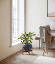 Load image into Gallery viewer, Deep Navy stand:walnut
