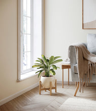 Load image into Gallery viewer, Shiny EggWhite stand:bamboo
