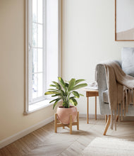 Load image into Gallery viewer, Calm Rose stand:bamboo
