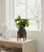 Load image into Gallery viewer, Black stand:walnut
