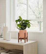 Load image into Gallery viewer, Calm Rose stand:walnut
