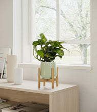 Load image into Gallery viewer, Turquoise stand:bamboo
