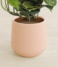 Load image into Gallery viewer, Gentle Pink stand:all
