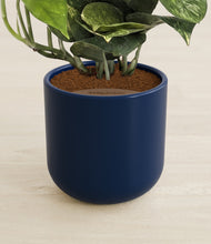 Load image into Gallery viewer, Twilight Blue stand:all
