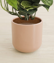 Load image into Gallery viewer, Glossy Pink stand:all
