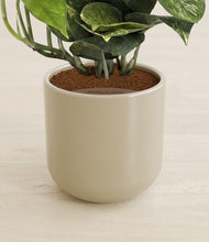 Load image into Gallery viewer, Sage Green stand:all
