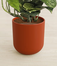 Load image into Gallery viewer, Earth Red stand:all
