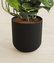 Load image into Gallery viewer, Stone Black stand:all
