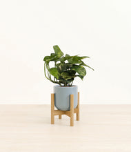 Load image into Gallery viewer, Misty Blue stand:bamboo
