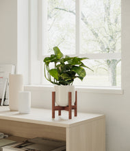 Load image into Gallery viewer, Cotton White stand:all
