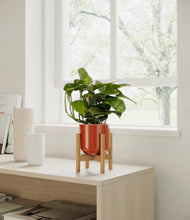 Load image into Gallery viewer, Glossy Red stand:all
