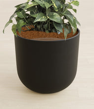Load image into Gallery viewer, Stone Black stand:all
