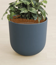 Load image into Gallery viewer, Iron Gray stand:all
