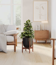 Load image into Gallery viewer, Stone Black stand:walnut
