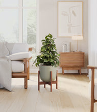 Load image into Gallery viewer, Sage Green stand:walnut
