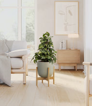 Load image into Gallery viewer, Sage Green stand:bamboo
