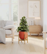 Load image into Gallery viewer, Earth Red stand:bamboo
