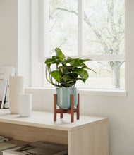 Load image into Gallery viewer, Reactive Aqua stand:walnut
