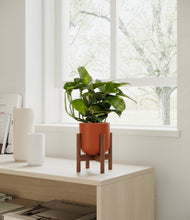 Load image into Gallery viewer, Earth Red stand:walnut

