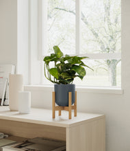 Load image into Gallery viewer, Iron Gray stand:bamboo
