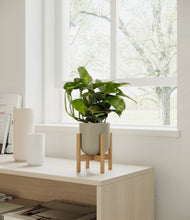 Load image into Gallery viewer, Sage Green stand:bamboo
