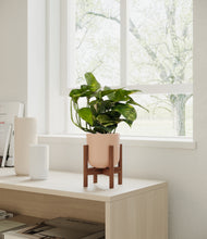 Load image into Gallery viewer, Sandy Pink stand:walnut
