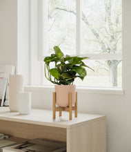 Load image into Gallery viewer, Sandy Pink stand:bamboo
