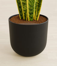 Load image into Gallery viewer, Stone Black stand:all

