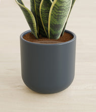 Load image into Gallery viewer, Iron Gray stand:all

