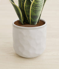 Load image into Gallery viewer, Hammered Ivory stand:all
