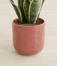 Load image into Gallery viewer, Hammered Rose Pink stand:all
