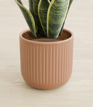 Load image into Gallery viewer, Striped Peach Pink stand:all
