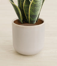 Load image into Gallery viewer, Snowdrift White stand:all
