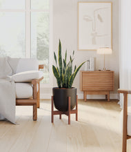 Load image into Gallery viewer, Stone Black stand:walnut
