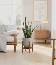 Load image into Gallery viewer, Sage Green stand:walnut
