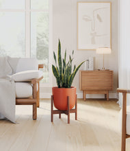 Load image into Gallery viewer, Earth Red stand:walnut
