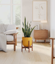 Load image into Gallery viewer, Sunset Orange stand:walnut
