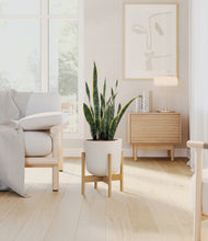 Load image into Gallery viewer, Natural Bamboo stand:bamboo

