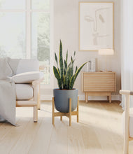 Load image into Gallery viewer, Iron Gray stand:bamboo
