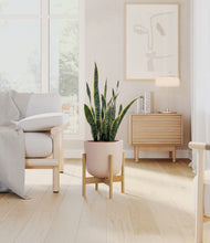 Load image into Gallery viewer, Sandy Pink stand:bamboo
