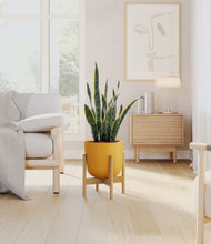 Load image into Gallery viewer, Sunset Orange stand:bamboo
