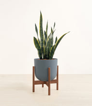 Load image into Gallery viewer, Iron Gray stand:walnut
