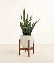 Load image into Gallery viewer, Natural Bamboo stand:walnut
