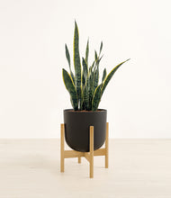 Load image into Gallery viewer, Stone Black stand:bamboo
