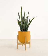 Load image into Gallery viewer, Sunset Orange stand:bamboo
