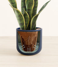 Load image into Gallery viewer, Twilight Blue stand:all
