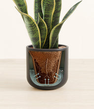 Load image into Gallery viewer, Stone Black stand:all
